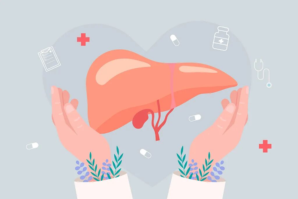 如何保护肝脏健康?这些护肝小知识,您应该了解→-友友