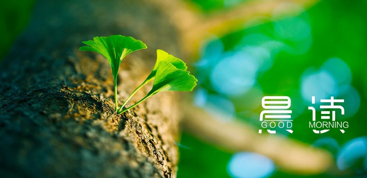 晨读丨不是成功的路太远，而是能坚持的人不多