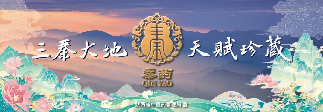 为什么心是钩脉墨家思想对《黄帝内经》理论构建的影响（下）_https://www.jmylbn.com_新闻资讯_第1张