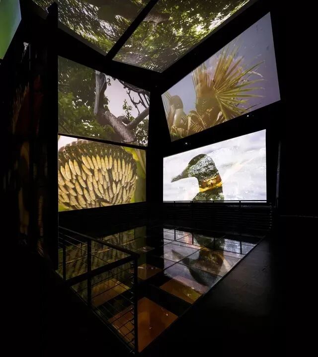 這個(gè)“彩色折紙”狀的博物館，讓人眼前一亮！(圖8)