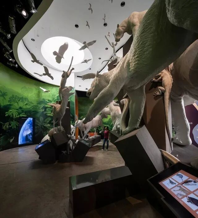 這個(gè)“彩色折紙”狀的博物館，讓人眼前一亮！(圖10)