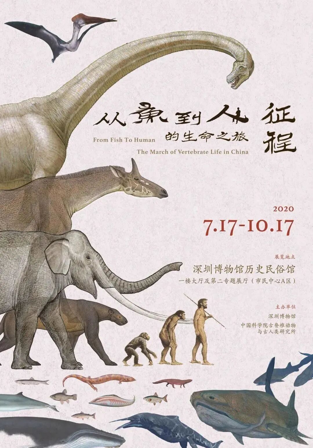 10月，展訊來了(圖15)