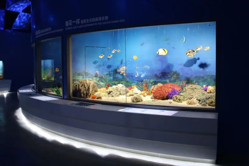 絲路逐浪，南海之舟——“南海博”了解一下？(圖5)