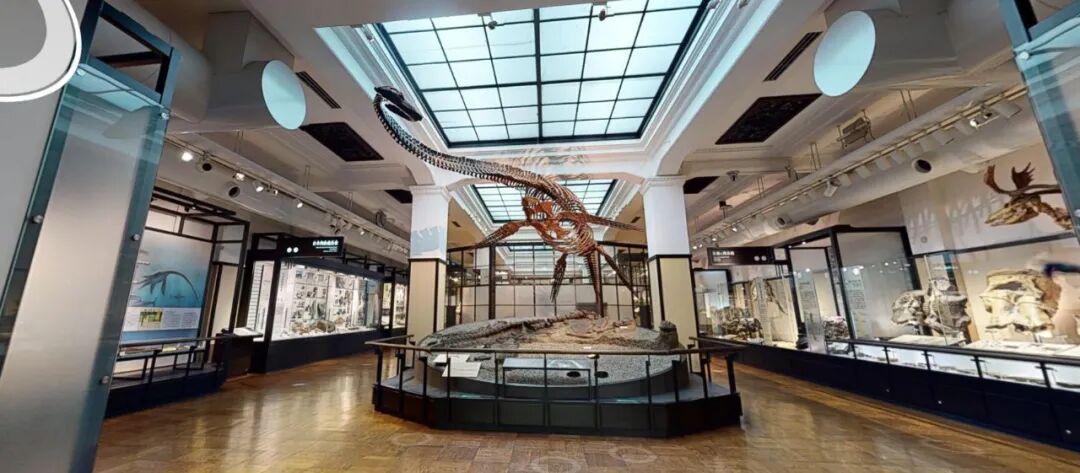 5.18國(guó)際博物館日：你“云觀展”了嗎？(圖5)