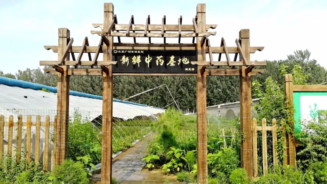 全国新鲜中草药特色技术传承交流会