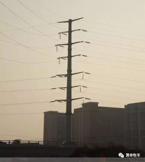 这15种房子环境小心住出病来!