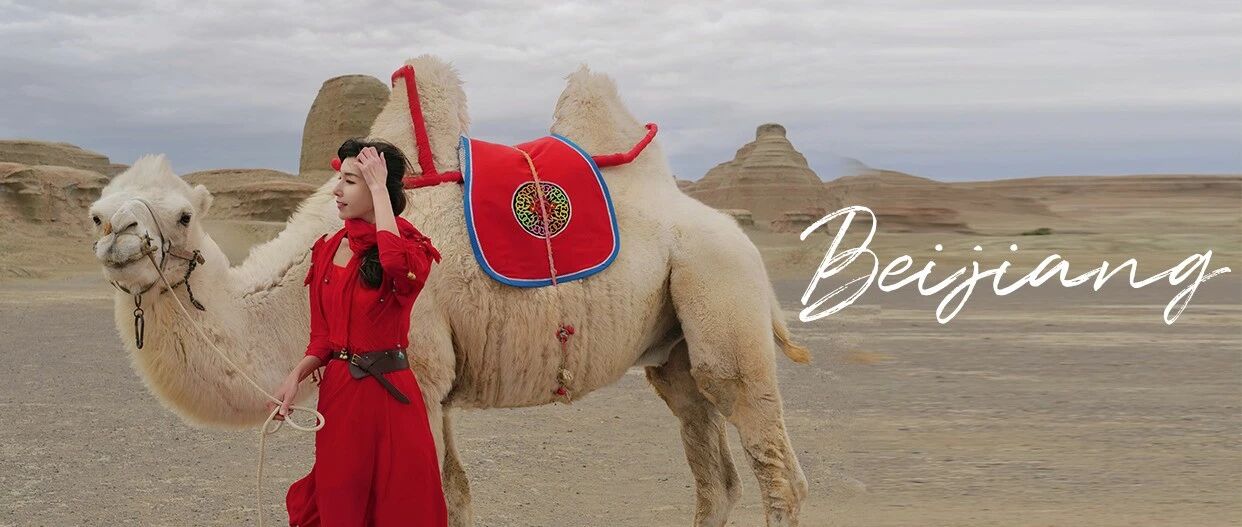 北疆深秋｜藏着诗人的秋日童话