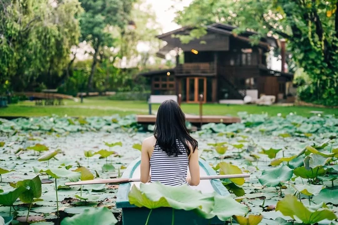 清邁 | 去這個會長出咖啡館的地方尋一片綠意 旅遊 第40張