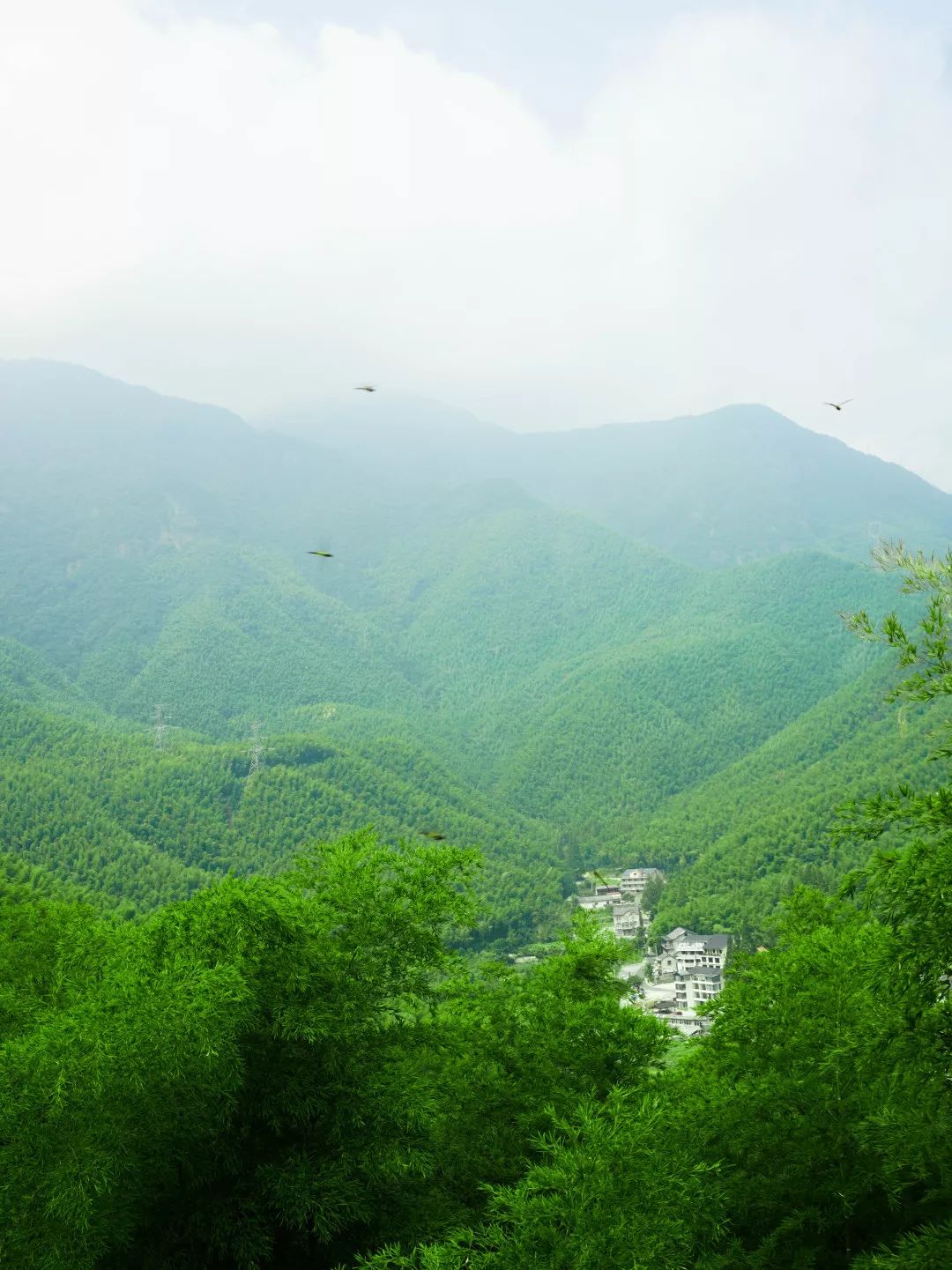 安吉小周末 | 秋老虎兇猛，我逃還不可以嗎？ 旅遊 第14張