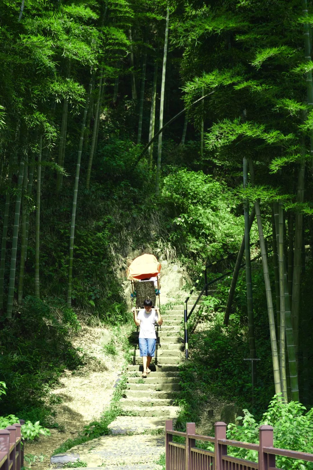 安吉小周末 | 秋老虎兇猛，我逃還不可以嗎？ 旅遊 第10張