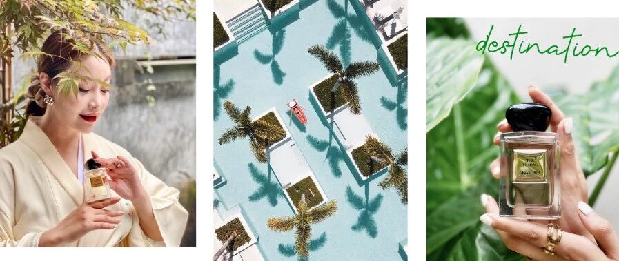 闻香许愿，进来测试你的下一个旅行目的地