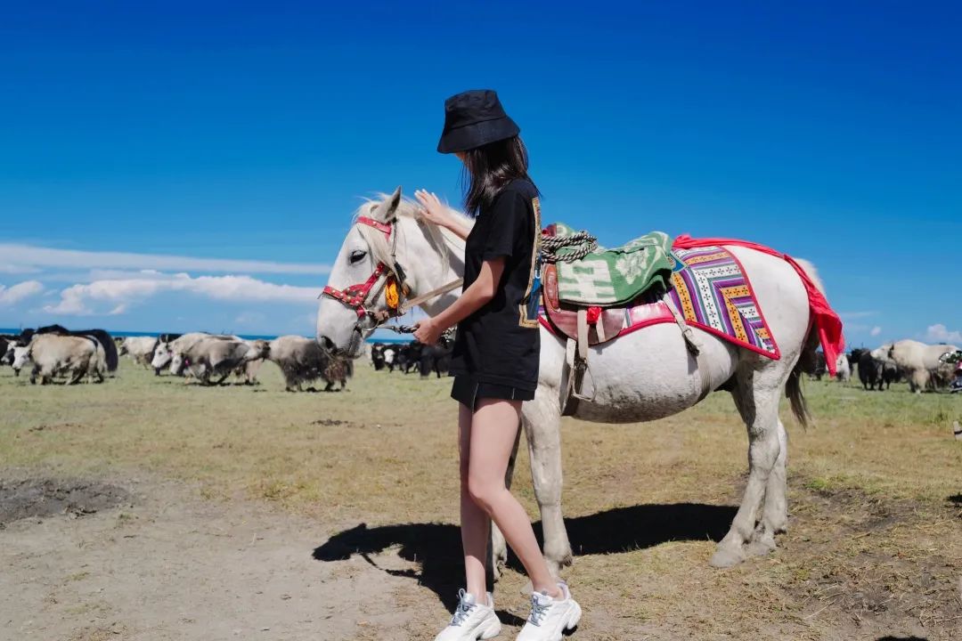 青海小環線｜全是美到心碎的色彩溫柔交疊 旅遊 第22張