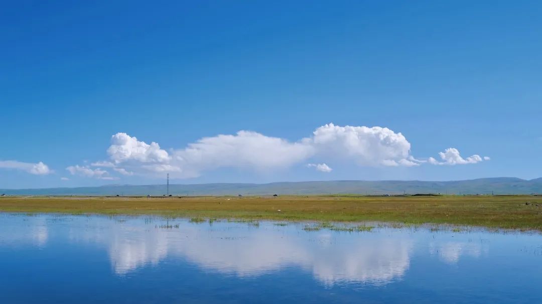 青海小環線｜全是美到心碎的色彩溫柔交疊 旅遊 第20張