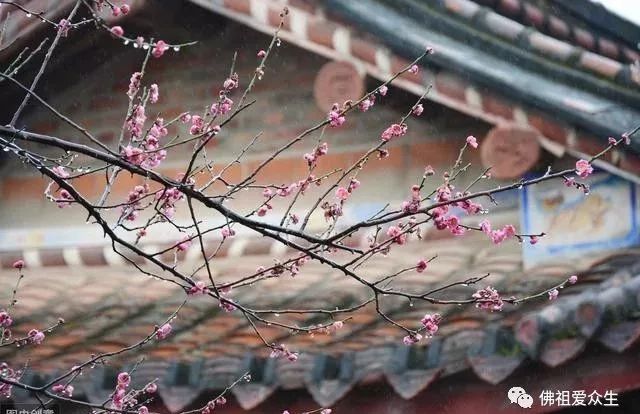 对生活看淡了_看淡生活的网名_看淡生活的图片