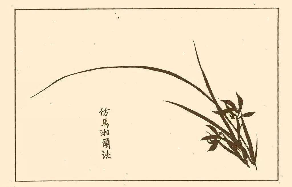 《芥子园画谱》当中仿画家马湘笔法的兰花