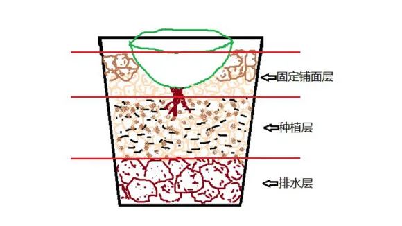 率土之滨配将经验心得_率土之滨配将经验心得_率土之滨配将经验心得