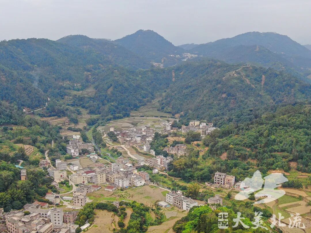 新丰镇:建设八角品改示范基地,带动群众增收致富 - 乡镇动态 - 广西玉