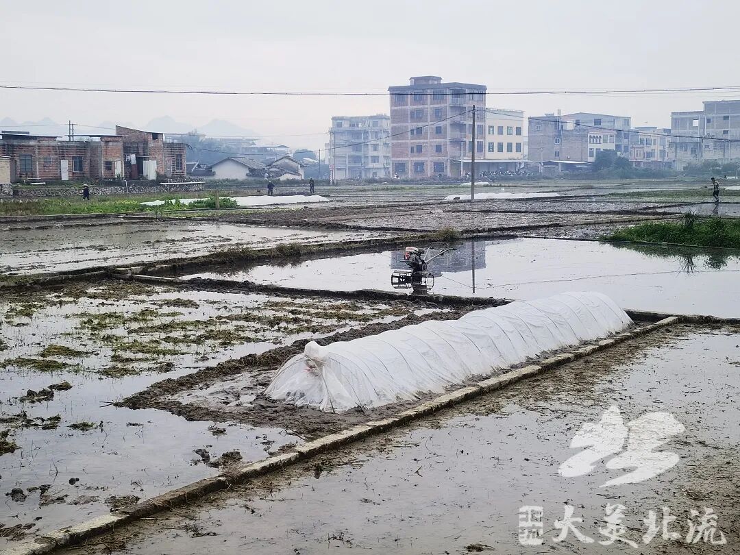 北流:早稻生产力推"全程机械化" - 部门动态 - 广西玉林北流市人民