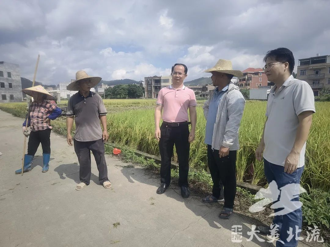 北流市龙海盛简历图片