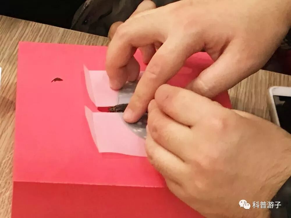 蝴蝶标本制作方法叫什么_蝴蝶标本制作方法步骤图_蝴蝶标本的制作方法