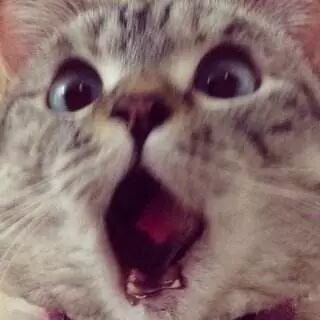 2017芭莎慈善夜就是一场秀？ 对于捐款我们不要道德绑架！！！