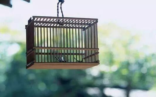 不懂点“心理学效应” 小心掉进消费陷阱