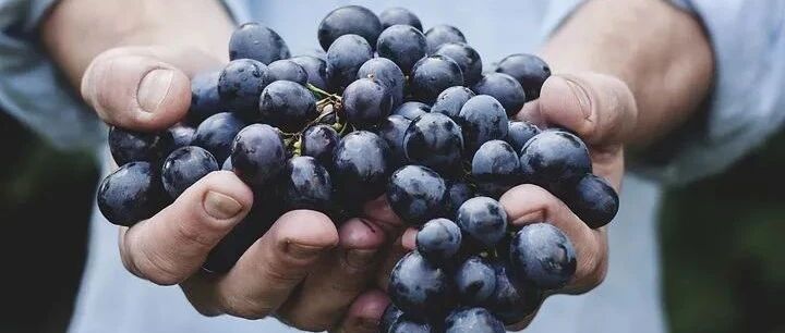 秋后吃葡萄的，都看看，别说我没告诉你哦！