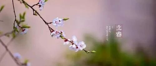 明日立春：做好三件事，记住三个方，一年少生病