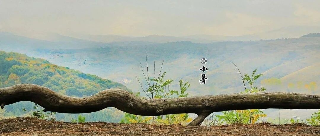 今日小暑，养生这事千万别忽略！过“五关”喝“三汤”，健康一整夏！