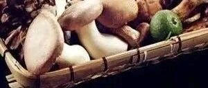 它是世卫认证的最佳食物：对老人极有好处！关键还很便宜