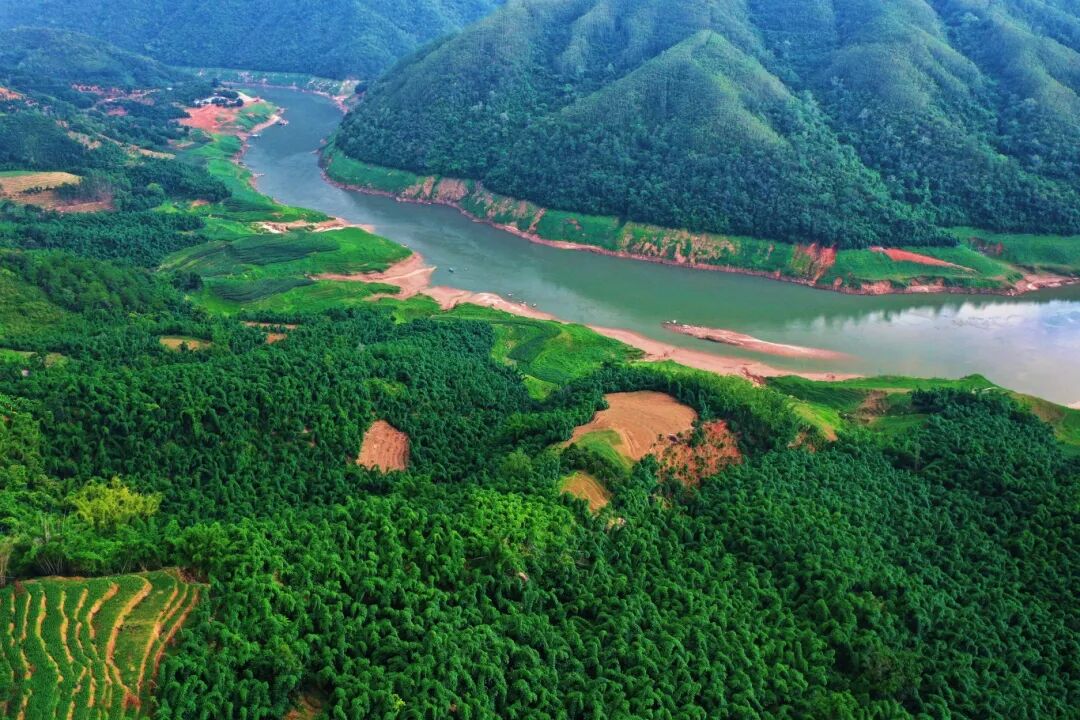 进入夏季，马台乡竹海青翠（2025年7月22日 胡荣宝摄）.jpg