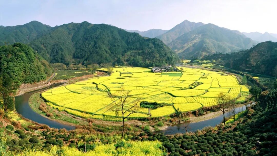 国内外最全矿山修复案例，20+经典项目干货奉上！的图34