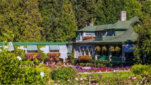 国内外最全矿山修复案例，20+经典项目干货奉上！的图6