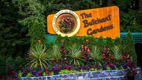 国内外最全矿山修复案例，20+经典项目干货奉上！的图5