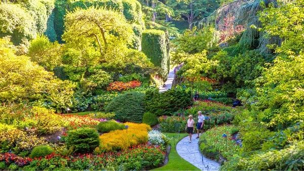 国内外最全矿山修复案例，20+经典项目干货奉上！的图7