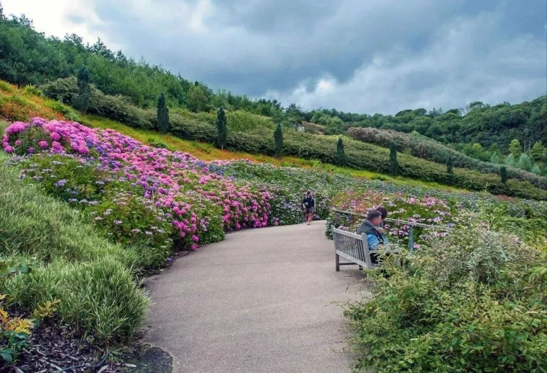 国内外最全矿山修复案例，20+经典项目干货奉上！的图16
