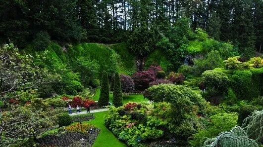 国内外最全矿山修复案例，20+经典项目干货奉上！的图8