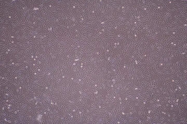 核心应对：不同密度下的处理方案