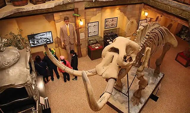 2023年泰国旅游景点攻略之芭提雅篇，速来围观！