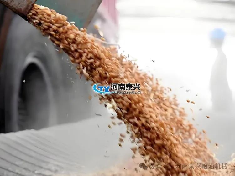 求石磨面粉机_石磨面粉机成套设备_面粉成套石磨机设备图片