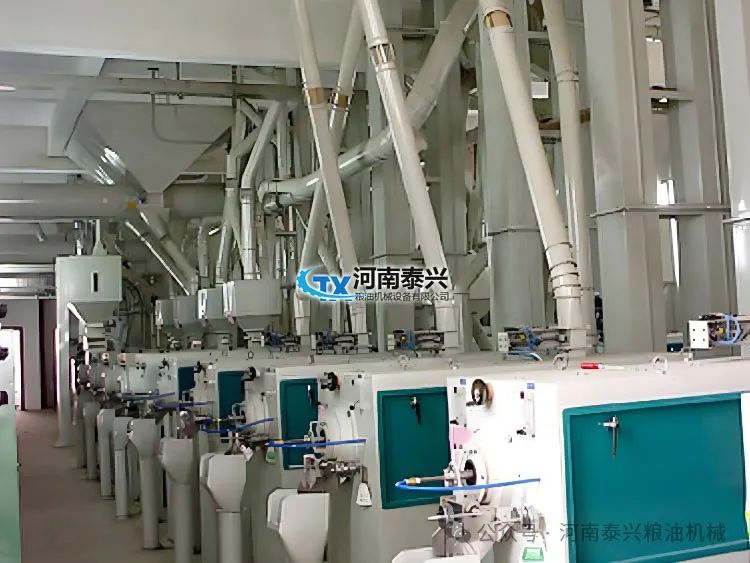 求石磨面粉机_面粉成套石磨机设备图片_石磨面粉机成套设备