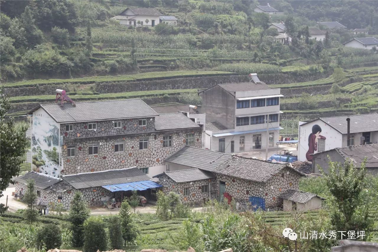 秀水天香茶叶基地等项目建设现场,在详细查看了解下堡坪乡各项重点