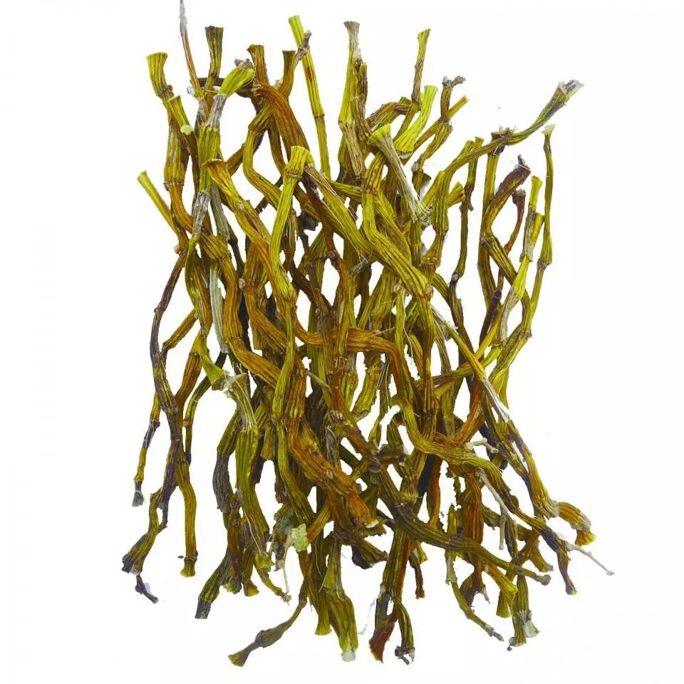 慢性咽炎马蹬草一招见效管用