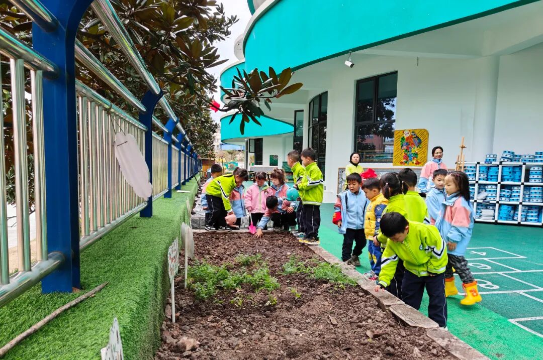 品春耕之趣享播种之乐幼儿园里春耕忙