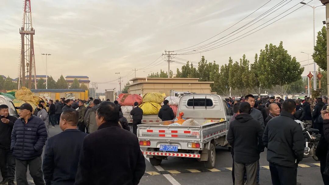 安国地产药材市场行情（12.30）