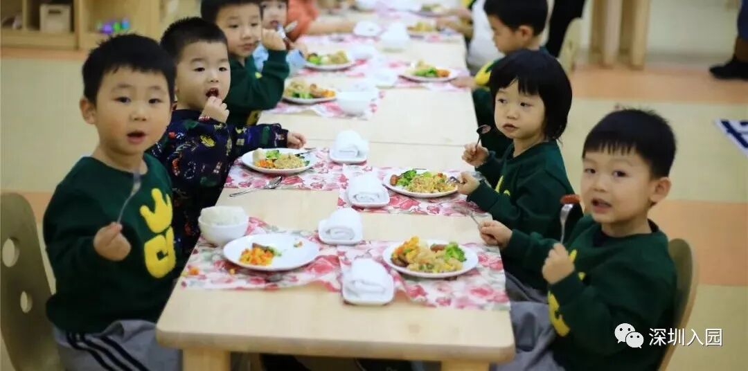 堪比五星级！深圳这13所餐食超棒的幼儿园盘点！省一级、市一级皆上榜！相关资料 17