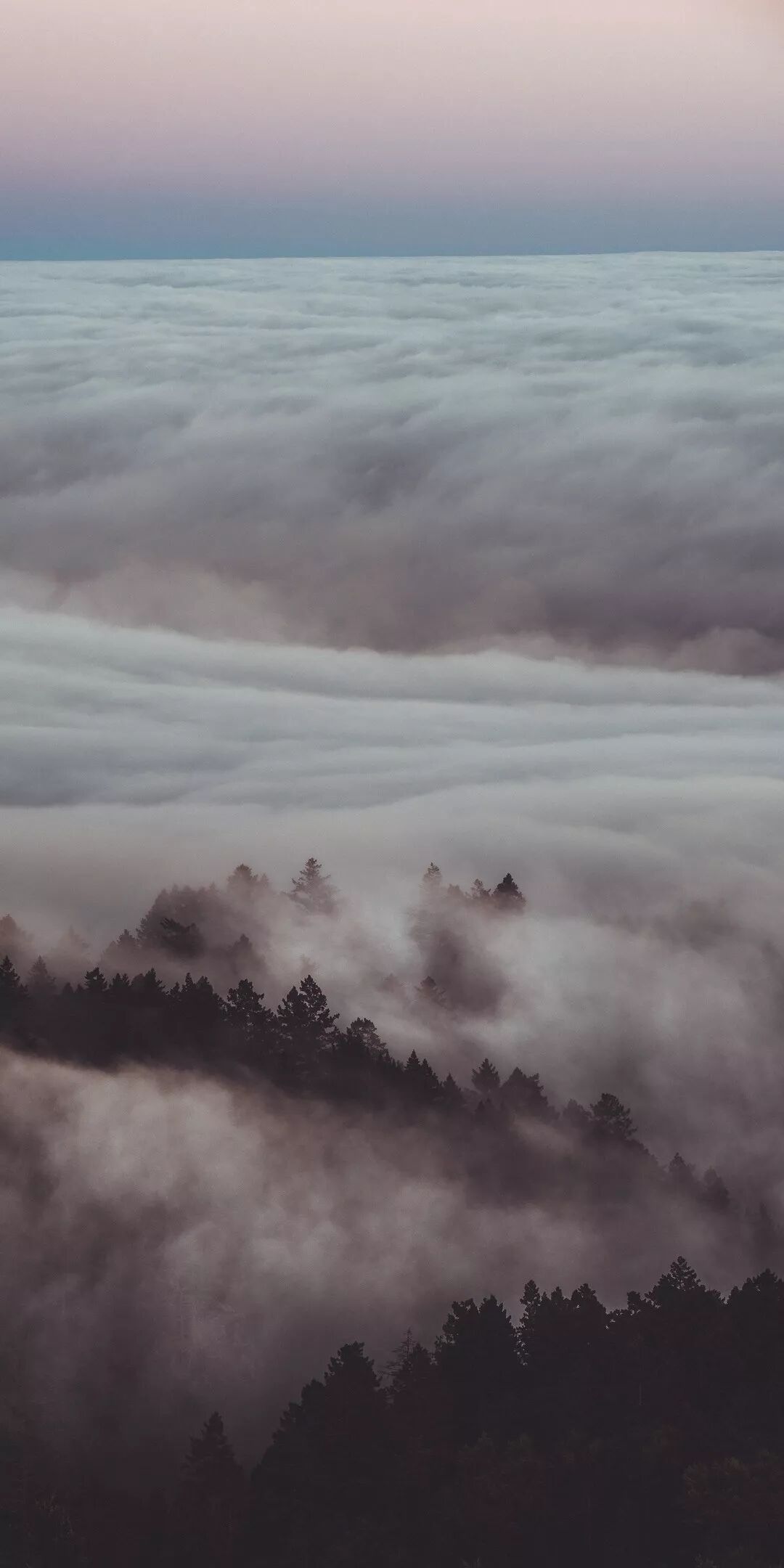 好看的全面屏手機壁紙 尋夢新聞