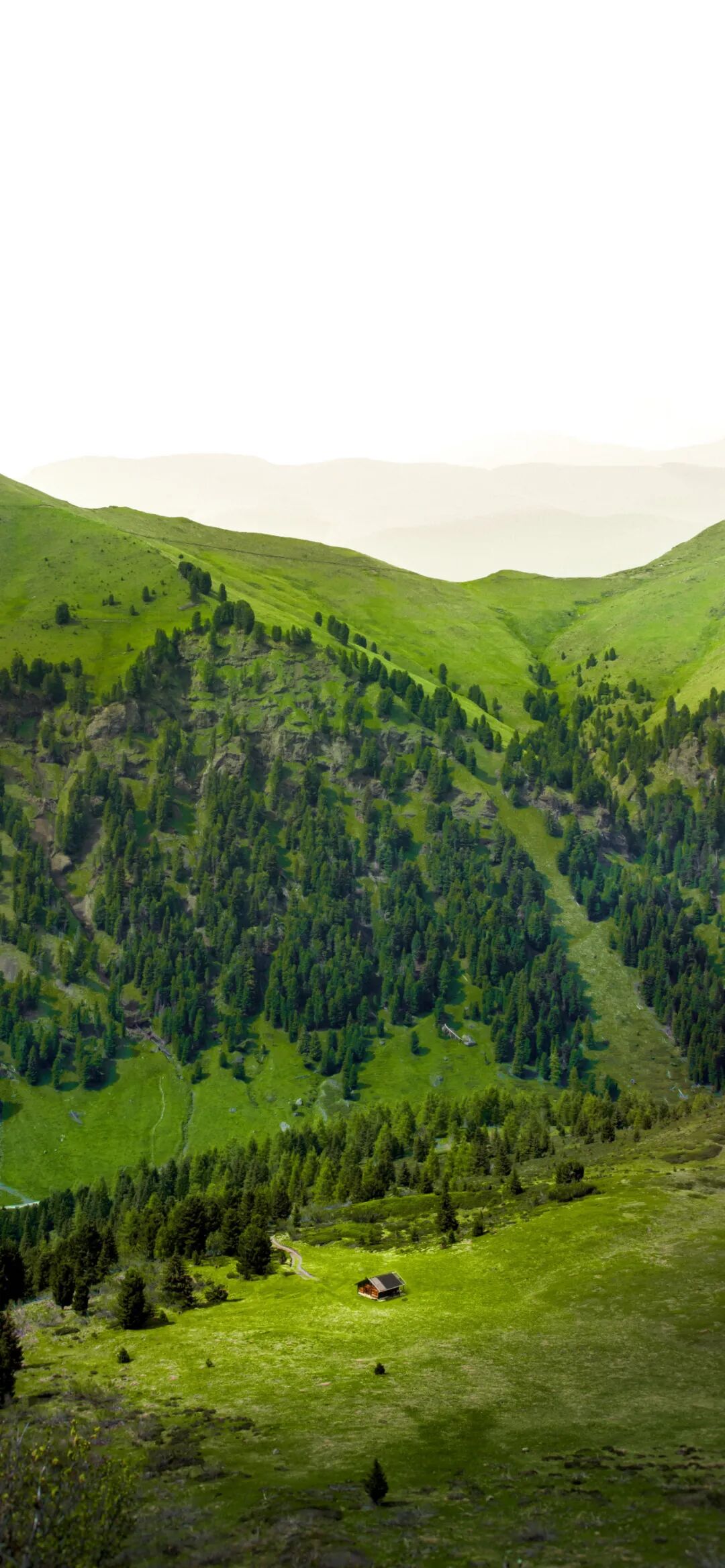 全面屏壁纸 失有所悟 全网搜