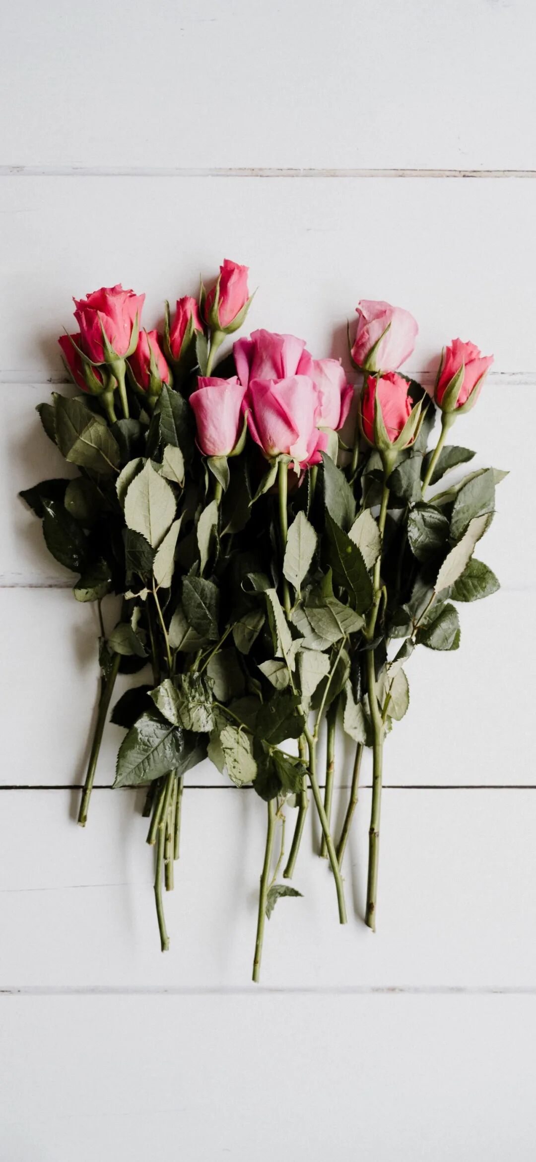 94手机壁纸 我想离开这个世界 手机壁纸美图 微信公众号文章阅读 Wemp