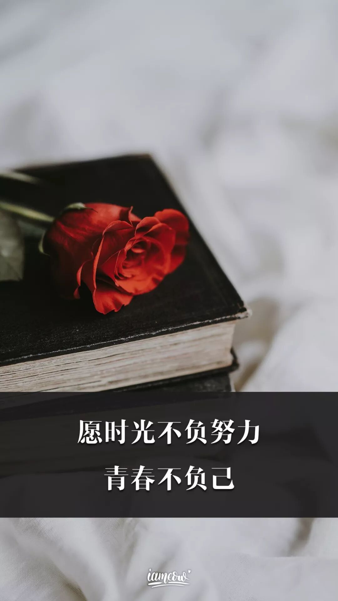 Iphone壁紙 超清手機壁紙下載 尋夢科技